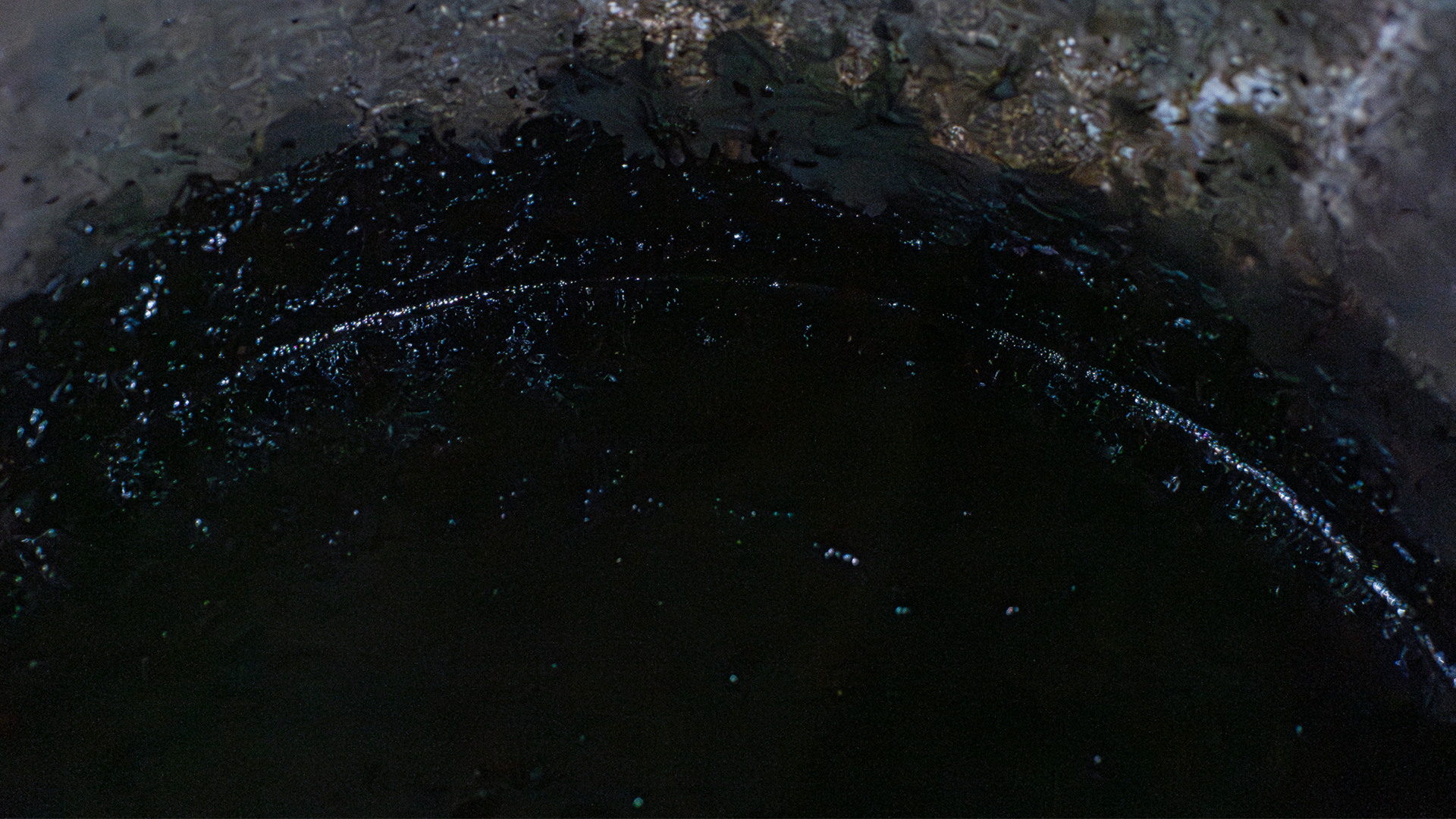 藍染屋ミオカザロの藍